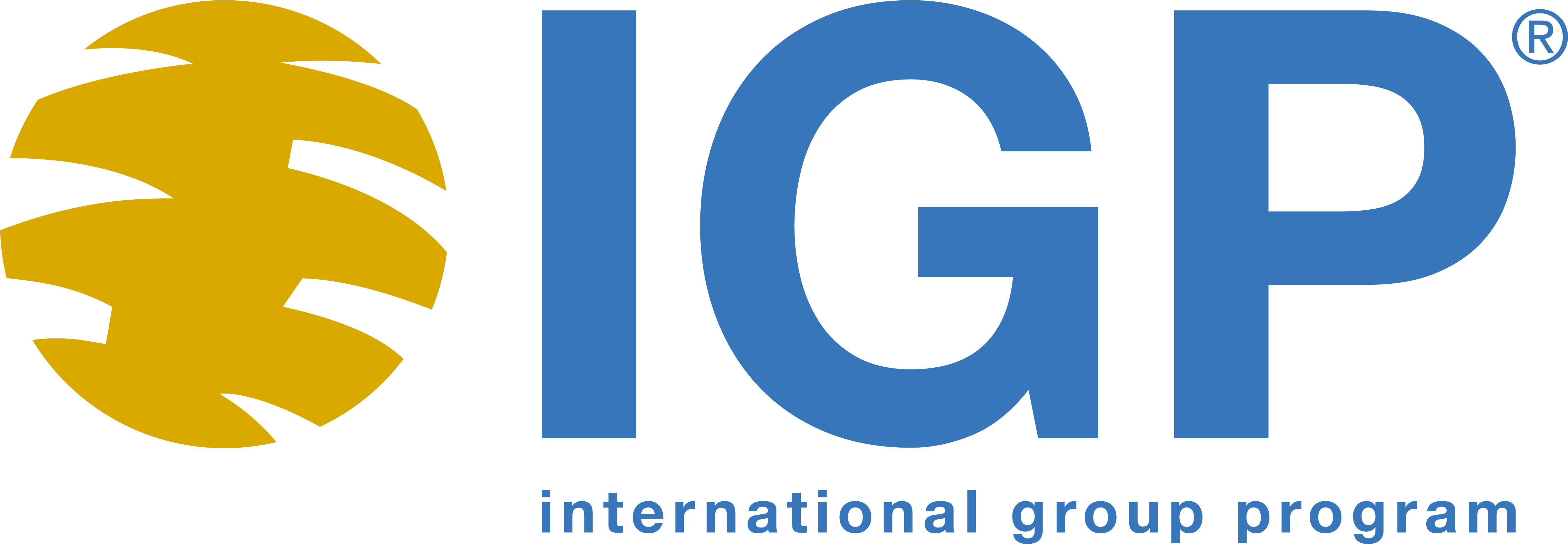 R_IGP_logo